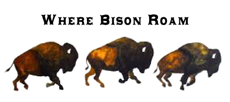 Where Bison Roam